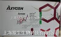 Axygen質(zhì)粒小量制備試劑盒AP-MN-P-250