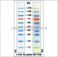 Fermentas產(chǎn)品