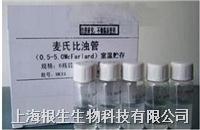 麥?zhǔn)媳葷峁? /><i></i></a></div>
<div   id=