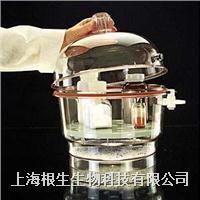 NALGENE聚碳酸酯干燥器5311-0250