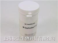 Cytiva思拓凡17001001 G-10葡聚糖凝膠17-0010-01