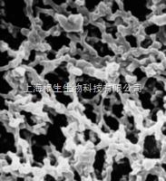 MF-Millipore密理博47mm 0.05um混合纖維素過濾膜VMWP04700