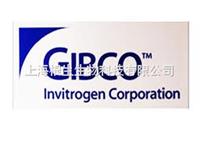 Gibco opti-MEM 500ml培養(yǎng)基31985-070