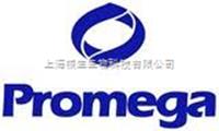 Reverse Transcription System逆轉(zhuǎn)錄系統(tǒng)Promega A3500