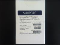 Millipore密理博Western 化學發(fā)光HRP底物WBKLS0100