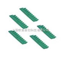 Bio-Rad伯樂電泳梳165-3359電泳槽用165-3365 1653366 1653360