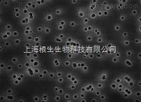 Millipore密理博HTBP04700黑色聚碳酸酯濾膜0.4um