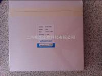 Cyitva思拓凡WHATMAN CF6吸收墊8116-2750