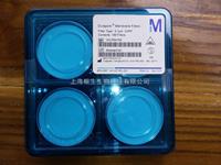Merck Millipore PVDF過濾膜0.1um孔徑47mm直徑貨號(hào)VVLP04700