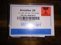 WHATMAN 100nm 0.1um Anopore無機氧化鋁膜6809-6012