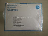 WHATMAN Autovial 12非針頭式濾器PTFE膜0.45um孔徑AV125UORG