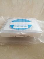 WHATMAN Nuclepore徑跡蝕刻膜0.03um孔徑25mm直徑110602