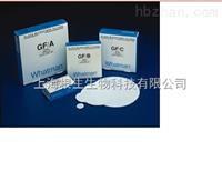WHATMAN Anotop 25LC針頭式濾器氧化鋁膜0.2um孔徑2002-5200
