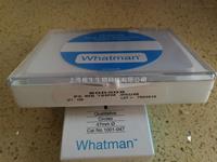 WHATMAN聚碳酸酯膜徑跡蝕刻膜0.05um孔徑19mm直徑800308