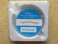 Cytiva WHATMAN 90mm 0.05um聚碳酸酯PC徑跡蝕刻過濾膜111703
