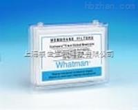WHATMAN Cyclepore徑跡蝕刻膜全透明聚碳酸酯膜7091-4710