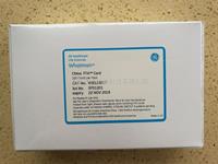 Qiagen凱杰whatman FTA采血卡China FTA Card WB129237 