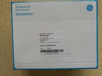 WHATMAN Mini-Uniprep非針式濾器0.2um孔徑US203NPEORG