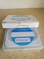 WHATMAN聚碳酸酯Nuclepore徑跡蝕刻膜8um 111114 10417512