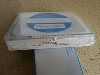 WHATMAN聚碳酸酯Nuclepore徑跡蝕刻膜10um 10418412 111115