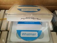 WHATMAN Nuclepore徑跡蝕刻聚碳酸酯過濾膜800284 10417304