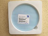 Millipore密理博142mm直徑聚碳酸酯PC膜0.2um孔徑GTTP14250