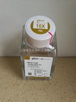 Gibco PBS緩沖液PH7.4（10×）500ml 70011-044