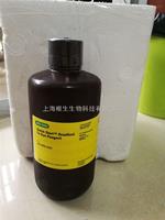 Bio-Rad伯樂500-0205快速蛋白測定Bradford染料5000205