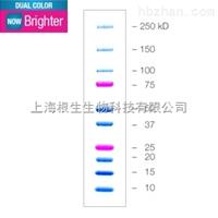 Bio-Rad伯樂161-0374雙色蛋白Marker 500ul 1610374 161-0394