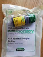 Bio-Rad伯樂161-0747 4xLaemmli緩沖液10ml 1610747