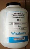 WHATMAN DE52預(yù)溶脹DEAE纖維素4057-050 4057-200