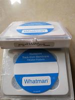 WHATMAN 0.08um徑跡蝕刻聚碳酸酯PC膜111104 110604