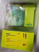 Bio-Rad伯樂Mini-PROTEAN TGX GELS預(yù)制膠4561033 456-1033