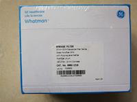Cytiva WHATMAN GD/X針頭濾器GF/A 1.6um 6882-1316