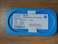 WHATMAN特氟龍TE37型PTFE過濾膜1um孔徑10411211 10411205