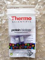 Thermo Fermentas未預(yù)染蛋白Marker 26610