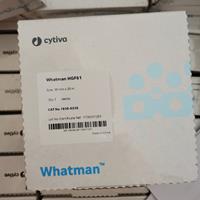 WHATMAN HGF61玻璃纖維紙帶1830-6236 1830-10095