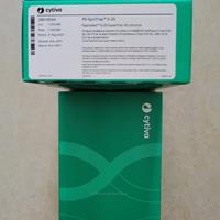 Cytiva GE PD SpinTrap G-25預(yù)裝脫鹽柱28918004 28-9180-04
