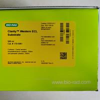 Bio-Rad伯樂(lè)Clarity Western ECL Substrate化學(xué)發(fā)光底物170-5060 170-5061