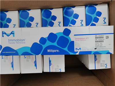 Millipore密理博Immobilon-PSQ 0.2um PVDF轉(zhuǎn)印膜ISEQ00010
