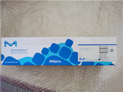 Millipore密理博0.45um Immobilon-P PVDF轉(zhuǎn)印膜IPVH00010