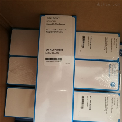 WHATMAN HEPA-CAP150通氣口濾器
