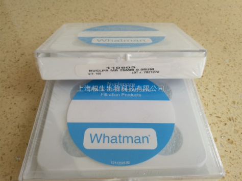 QQ截圖20230825142216.png